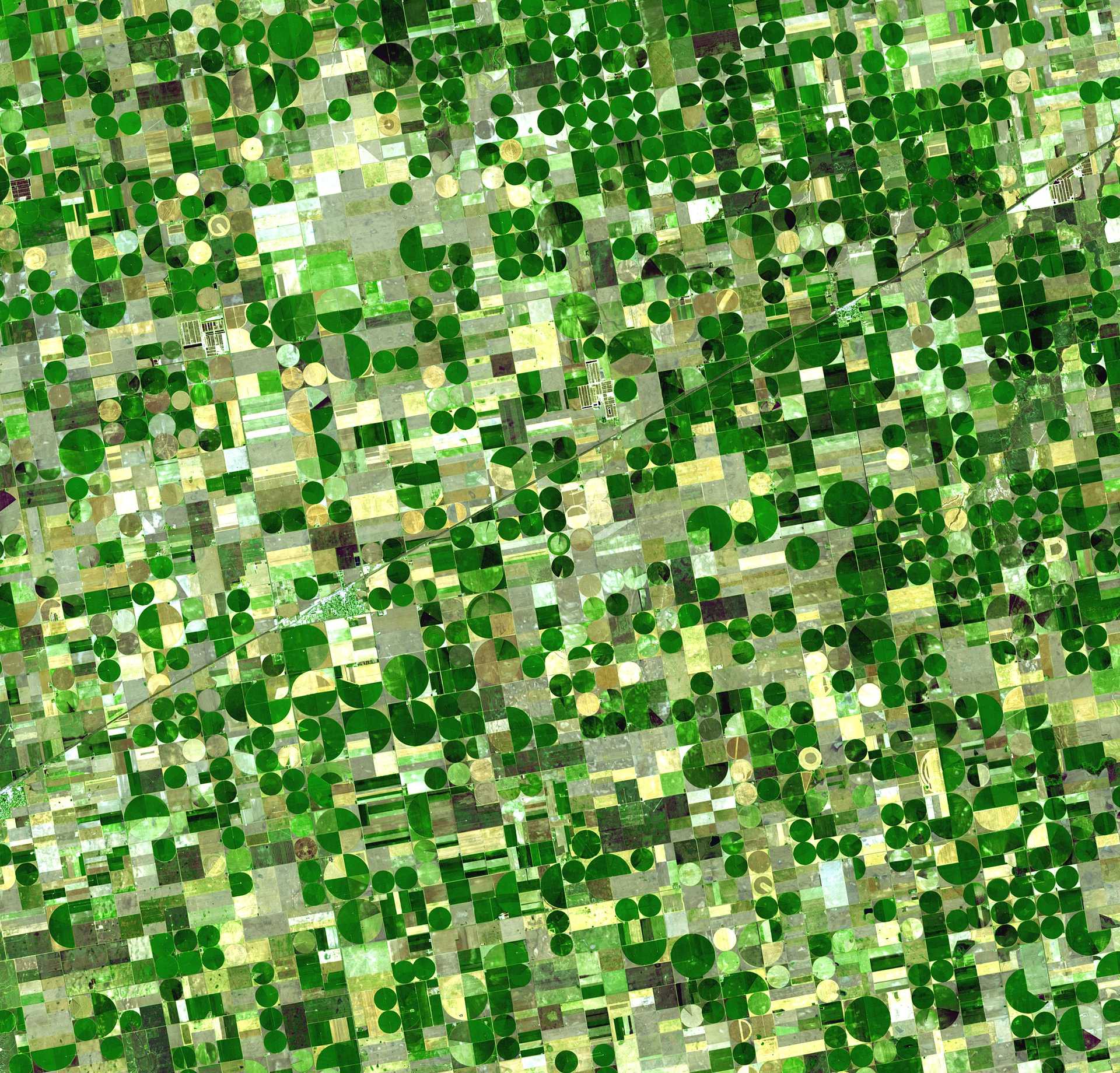 Variegated green crop circles cover what was once shortgrass prairie in southwestern Kansas. (Photography courtesy NASA/GSFC)