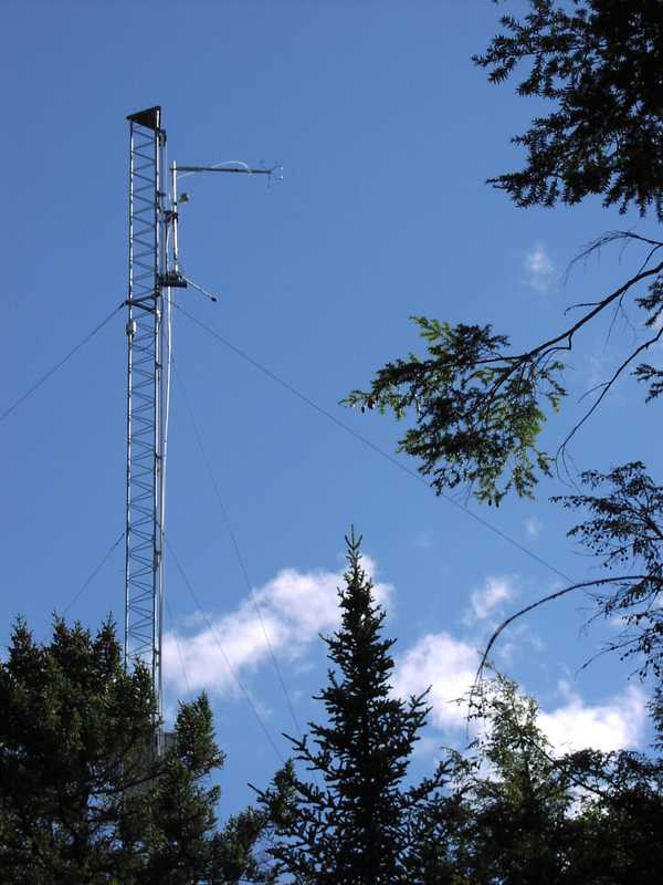 Image of a FLUXNET tower in Harvard Forests, Maine