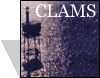 The logo for the CLAMS Campaign