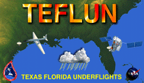 Logo for TEFLUN campaign